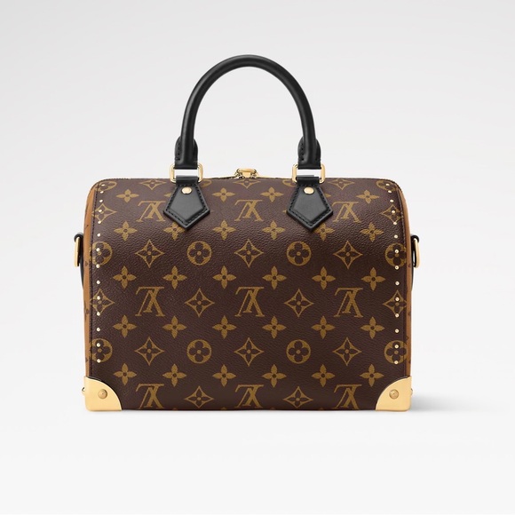 Louis Vuitton Speedy trunk 25 BNIB 2025 - Picture 3 of 10
